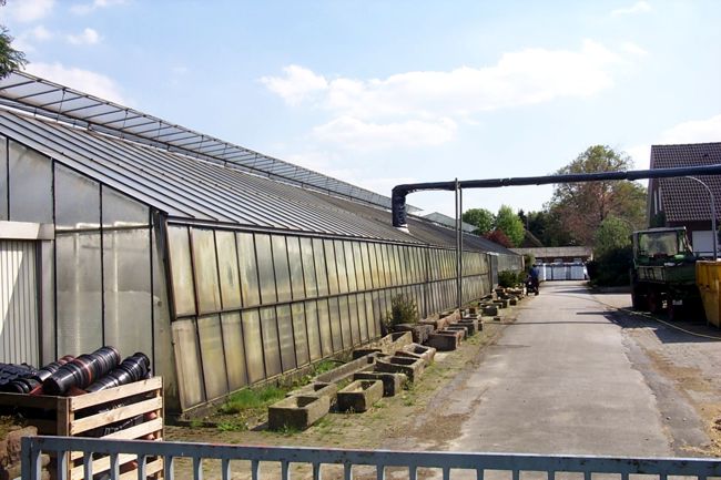 Ein Gewchshaus des Pflanzencenters Hintemann