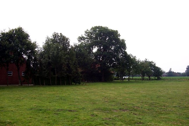 Hinter den Bumen versteckt sich ein Bauernhof