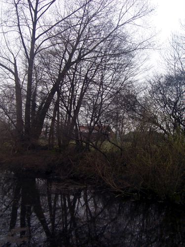 Ein kleiner Teich umgeben von Bumen und Strucher