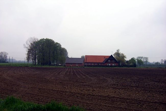 Blick auf einen Bauernhof