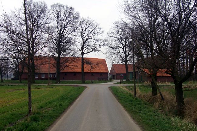 Blick auf einen Bauernhof