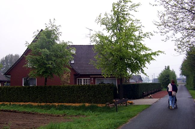 Die Bume blhen in einem schnen Grn