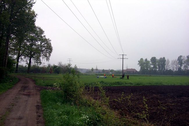 Pferde auf ihrer Wiese