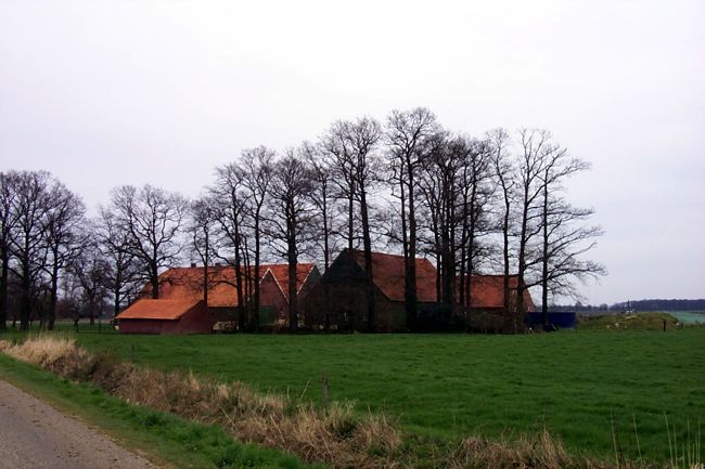 Mehrere Scheunen hinter prchtigen Bumen