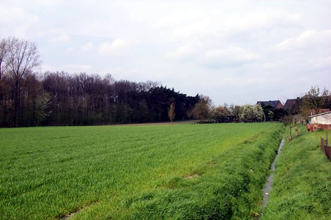 Ein Wassergraben entlang einer leuchtend, grnen Weide