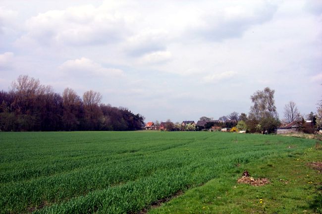 Blick ber ein Feld auf eine Wohnsiedlung