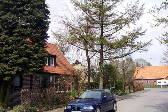 Ein Reihenhaus