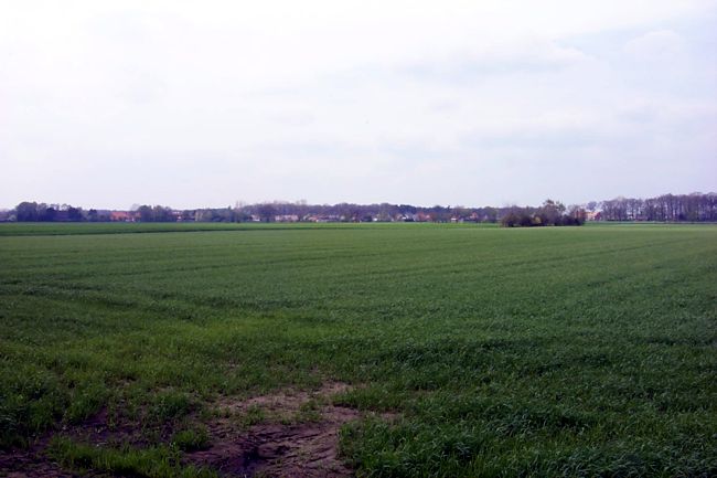 Blick ber Felder auf eine Wohnsiedlung