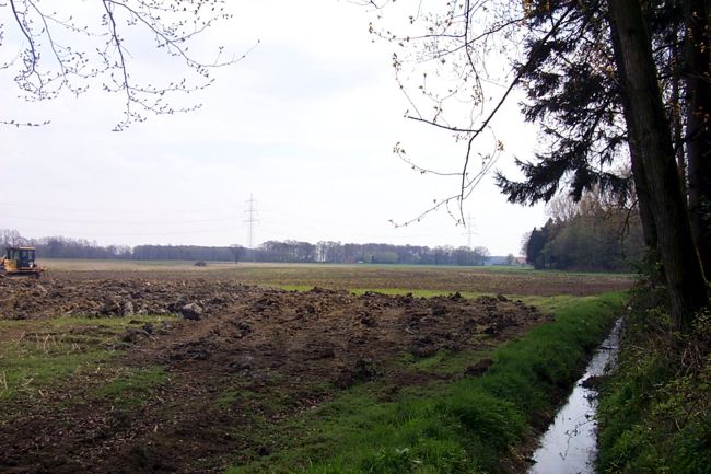 Blick entlang dem Waldrand ber die Felder