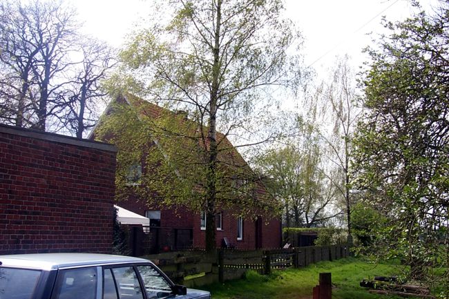 Ein Wohnhaus mit einer blhenden Birke