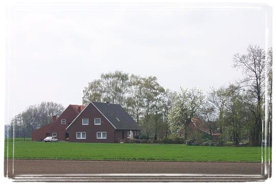 Blick auf einen Bauernhof