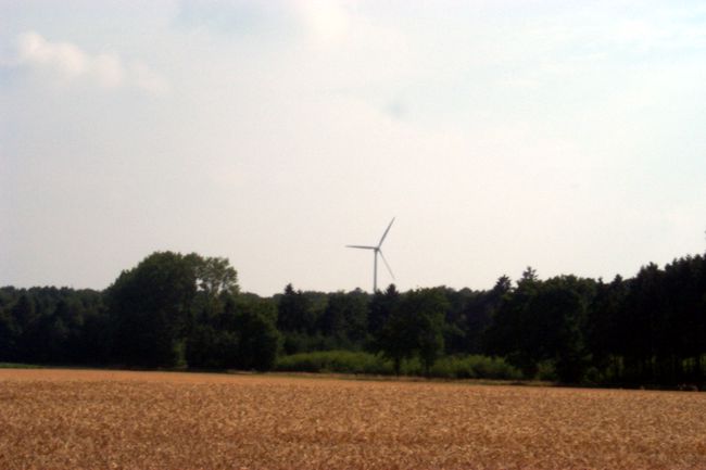 Ein Getreidefeld