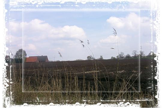Ein Acker im Herbst