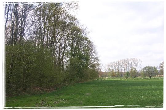Ein kleines Waldstck. Weit im Hintergrund liegt ein Bolzplatz
