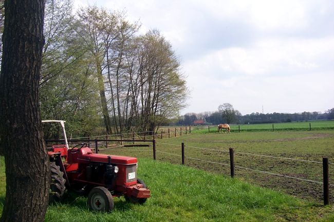 Ein alter Traktor. Mit Sicherheit schon ein Oldtimer