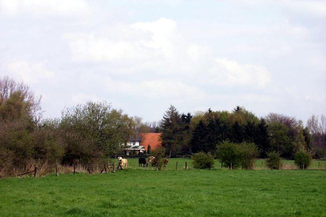 Hier drfen die Tiere im freien laufen